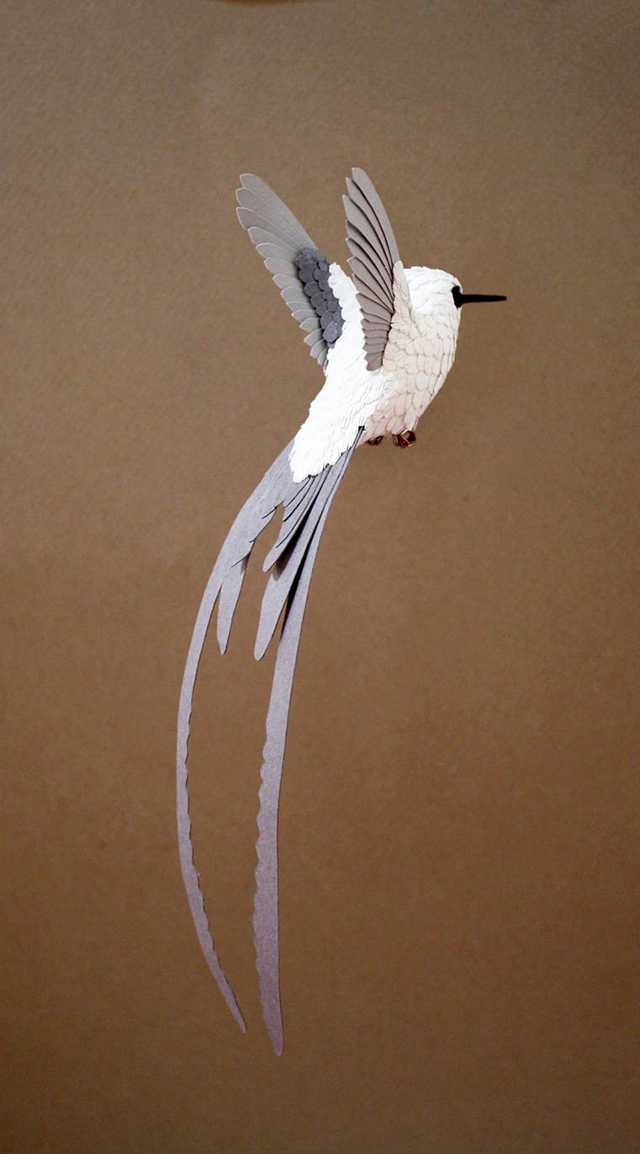 paper-bird-Zack-Mclaughlin-11